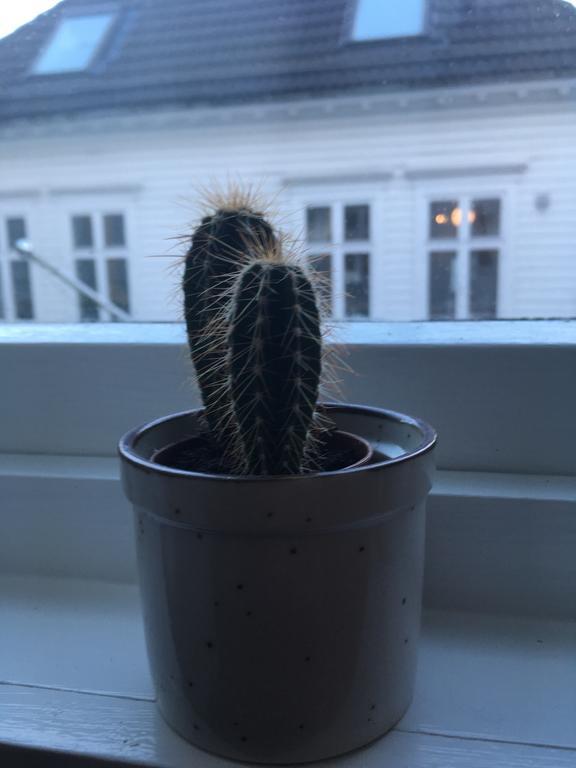 Apartament Ym40 Bergen Zewnętrze zdjęcie